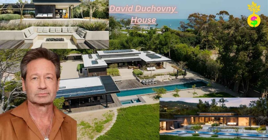 david-duchovny-house